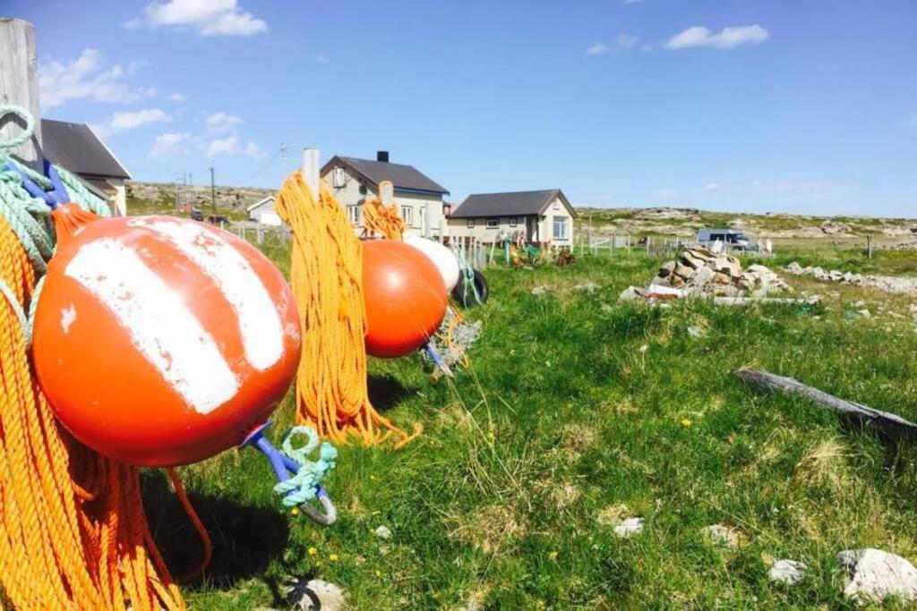 Arctic House By The Sea, Vadso, Varanger Esterno foto
